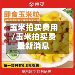 玉米拍买费用
/玉米拍买费用
最新消息-第2张图片