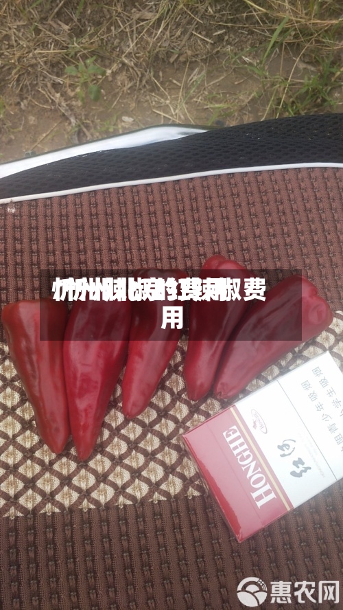 忻州辣椒的费用
/忻州北京红辣椒费用
-第2张图片