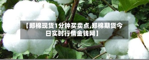 【郑棉现货1分钟买卖点,郑棉期货今日实时行情金钱网】-第2张图片