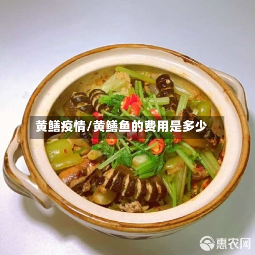 黄鳝疫情/黄鳝鱼的费用是多少