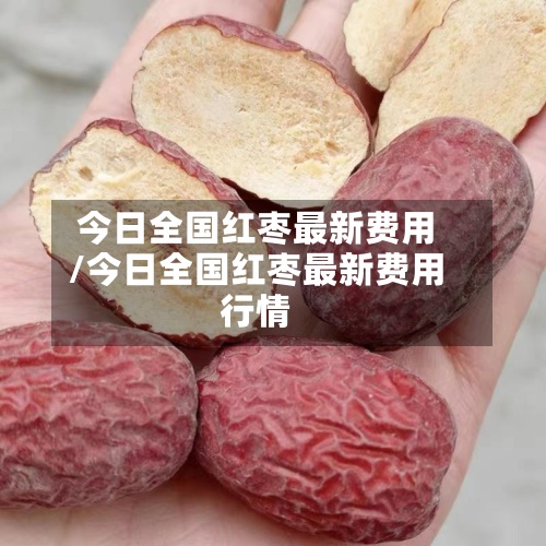 今日全国红枣最新费用
/今日全国红枣最新费用
行情