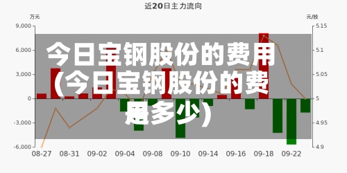 今日宝钢股份的费用(今日宝钢股份的费用是多少)
