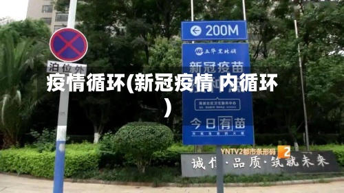 疫情循环(新冠疫情 内循环)