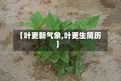 【叶更新气象,叶更生简历】-第2张图片