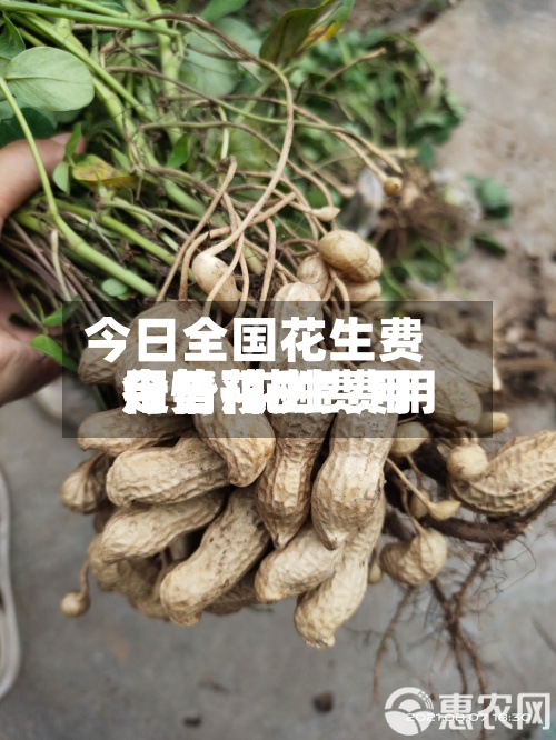 今日全国花生费用
走势/花生费用
今日花生费用
行情预测