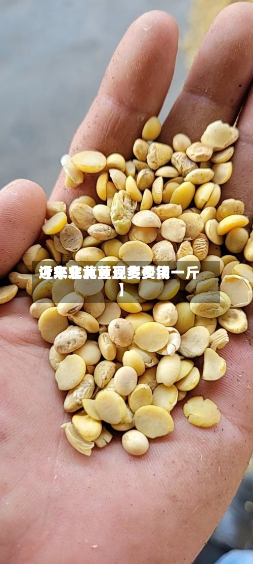 近来【东北黄豆现货费用今年东北黄豆多少钱一斤】-第3张图片