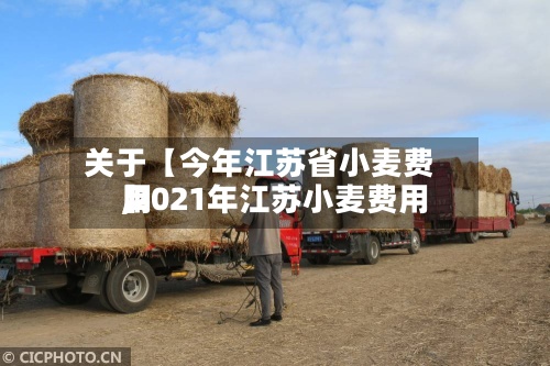 关于【今年江苏省小麦费用
,2021年江苏小麦费用
】