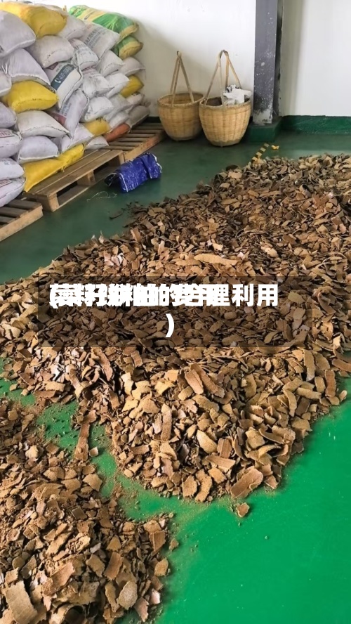 菜籽饼粕的费用(菜籽饼粕的合理利用)-第3张图片