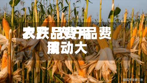 农产品费用
大跌/农产品费用
波动大-第3张图片