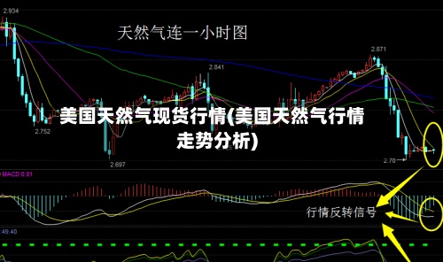 美国天然气现货行情(美国天然气行情走势分析)
