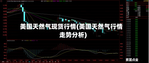 美国天然气现货行情(美国天然气行情走势分析)-第2张图片