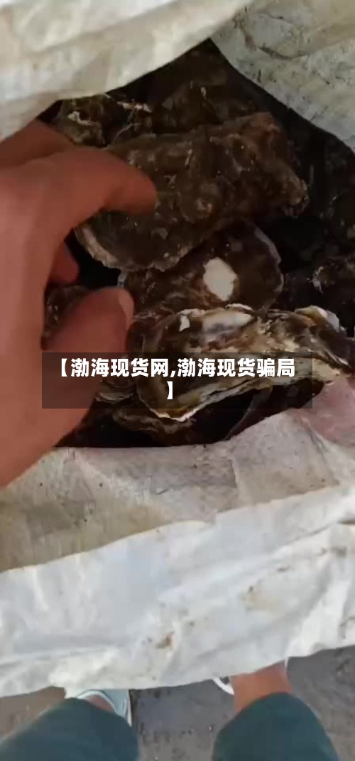 【渤海现货网,渤海现货骗局】-第3张图片