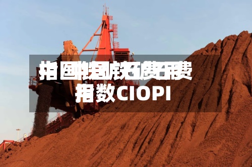 中国铁矿石费用
指/中国铁矿石费用
指数CIOPI-第2张图片