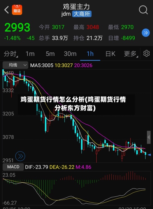 鸡蛋期货行情怎么分析(鸡蛋期货行情分析东方财富)