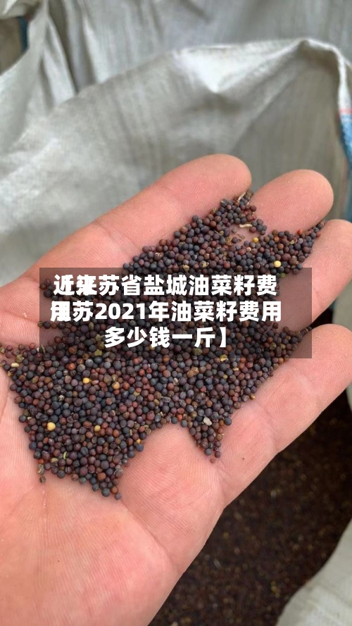 近来
【江苏省盐城油菜籽费用
江苏2021年油菜籽费用
多少钱一斤】
