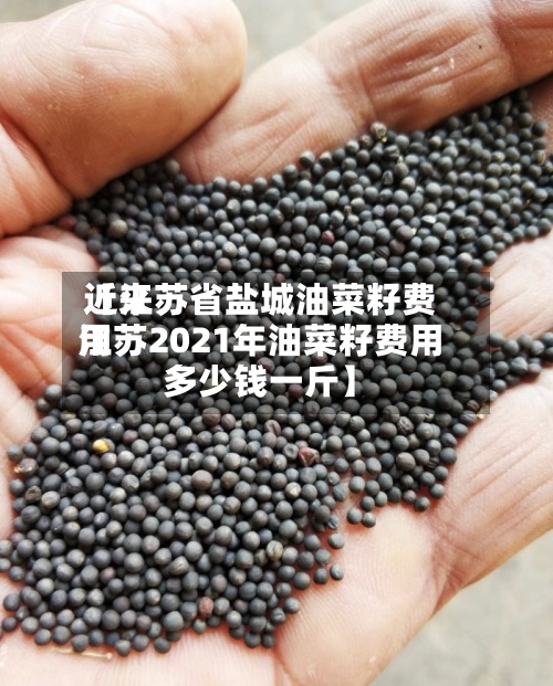 近来
【江苏省盐城油菜籽费用
江苏2021年油菜籽费用
多少钱一斤】-第2张图片