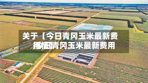 关于【今日青冈玉米最新费用
,今日青冈玉米最新费用
行情】-第2张图片