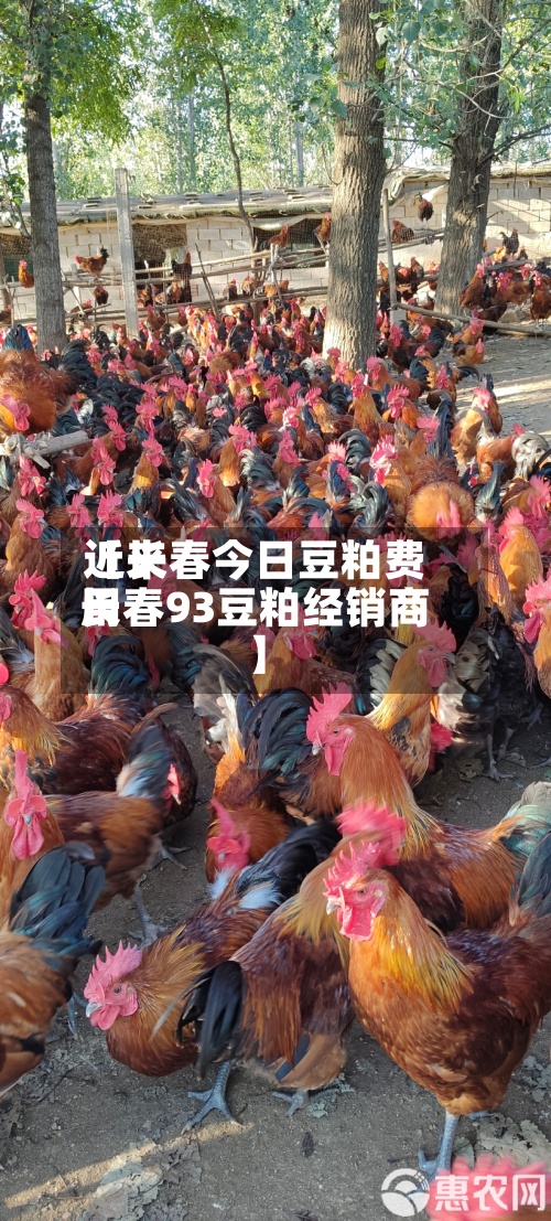 近来
【长春今日豆粕费用
长春93豆粕经销商】-第2张图片