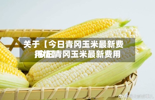 关于【今日青冈玉米最新费用,今日青冈玉米最新费用行情】