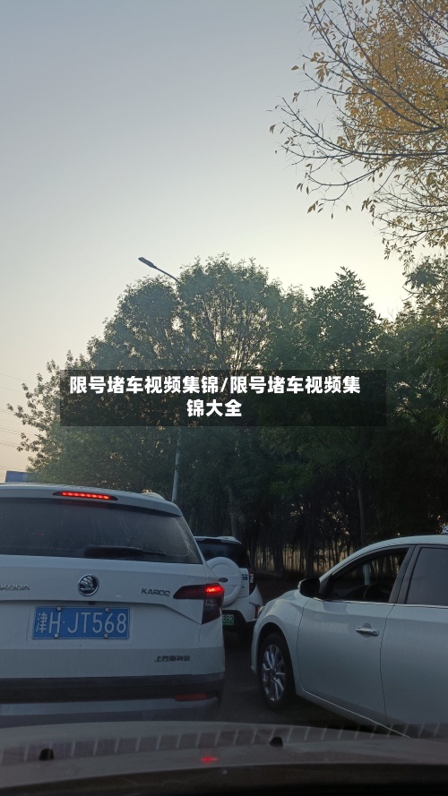 限号堵车视频集锦/限号堵车视频集锦大全-第3张图片