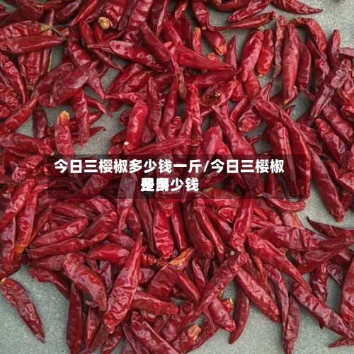 今日三樱椒多少钱一斤/今日三樱椒费用是多少钱-第2张图片