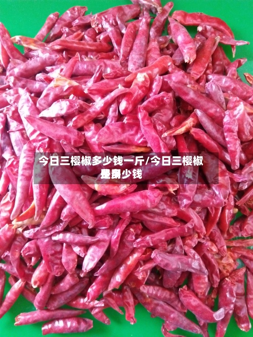 今日三樱椒多少钱一斤/今日三樱椒费用是多少钱-第3张图片