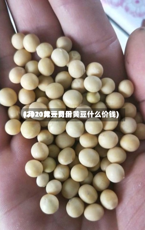 1月10黄豆费用(2021年一月份黄豆什么价钱)-第2张图片