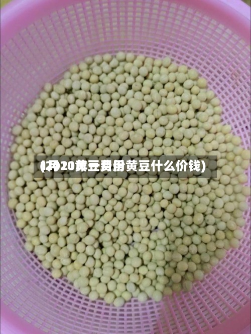 1月10黄豆费用
(2021年一月份黄豆什么价钱)