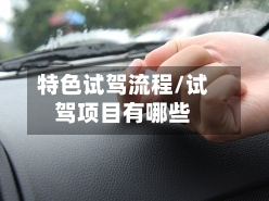 特色试驾流程/试驾项目有哪些-第2张图片