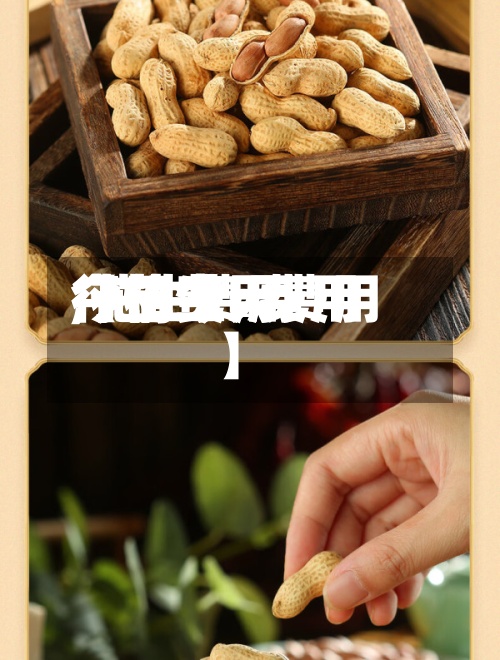 【花生粨费用今日费用,花生费用行情今天费用】
