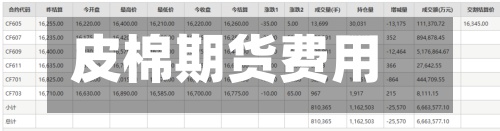 皮棉期货费用
(皮棉期货费用
行情查询软件)