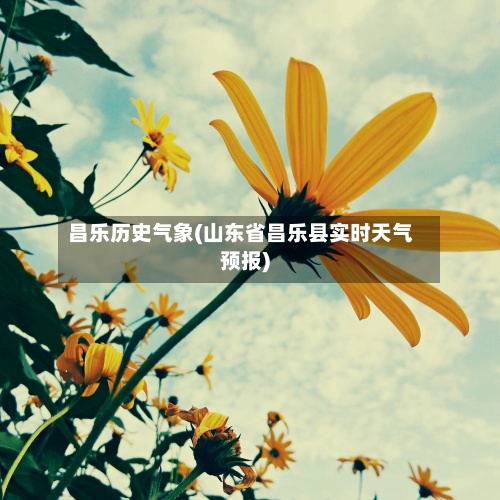 昌乐历史气象(山东省昌乐县实时天气预报)-第3张图片