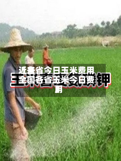近来【各省今日玉米费用全国各省玉米今日费用】