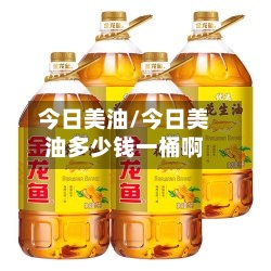 今日美油/今日美油多少钱一桶啊-第3张图片