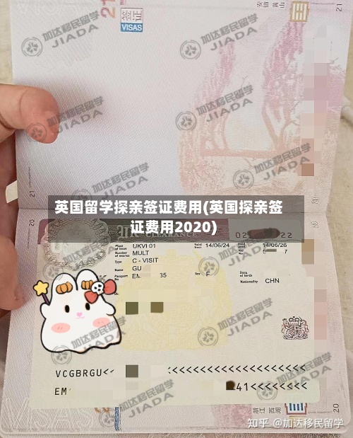 英国留学探亲签证费用(英国探亲签证费用2020)-第2张图片