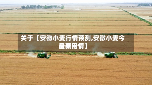 关于【安徽小麦行情预测,安徽小麦今日费用
最新行情】-第2张图片
