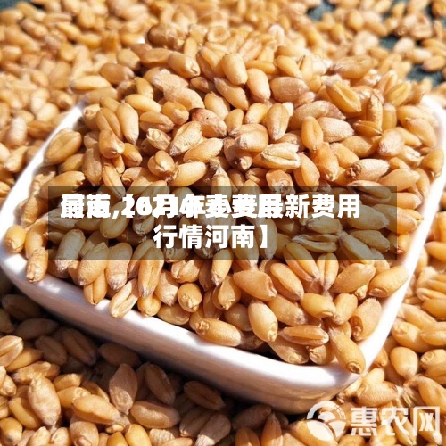 最近【6月小麦费用
河南,2021年小麦最新费用
行情河南】
