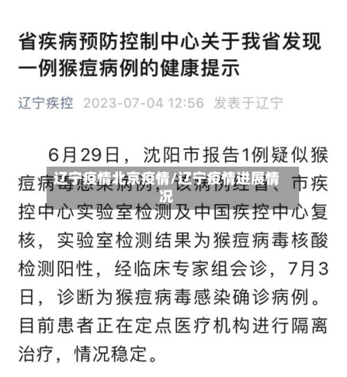 辽宁疫情北京疫情/辽宁疫情进展情况-第2张图片