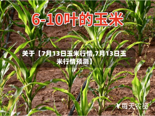 关于【7月13日玉米行情,7月13日玉米行情预测】-第3张图片