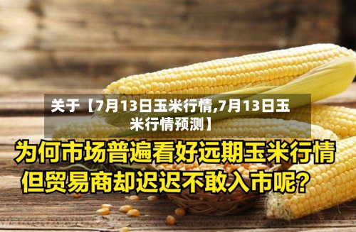 关于【7月13日玉米行情,7月13日玉米行情预测】