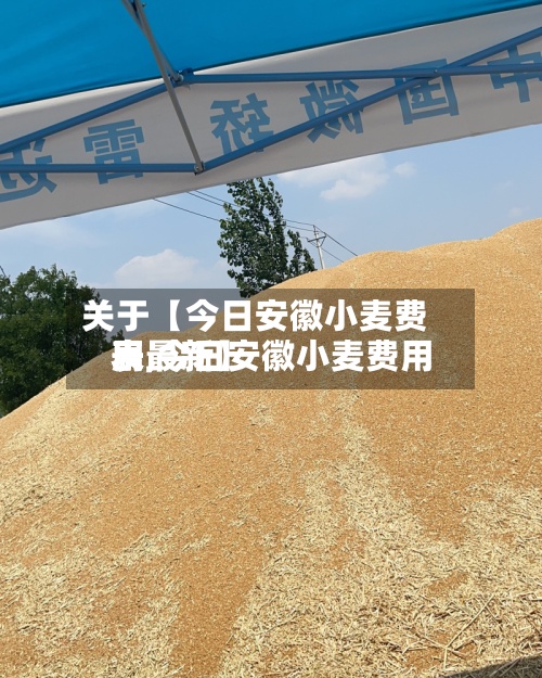 关于【今日安徽小麦费用表,今日安徽小麦费用表最新】