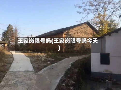 王家岗限号吗(王家岗限号吗今天)