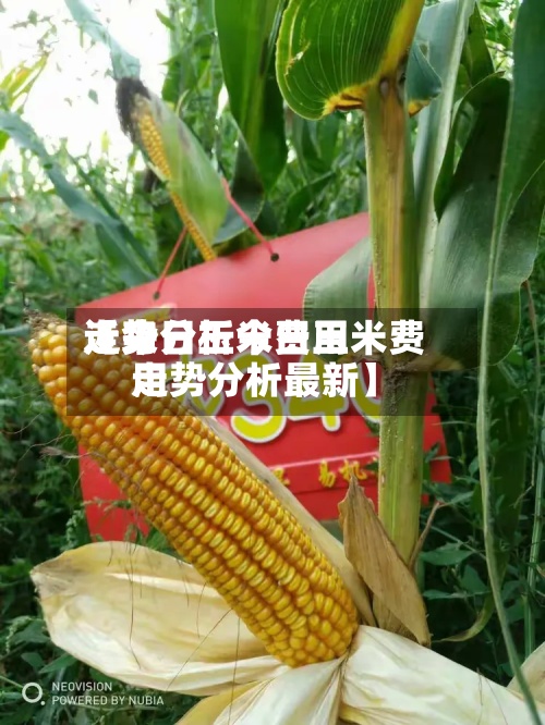 近来【今日玉米费用走势分析今日玉米费用走势分析最新】