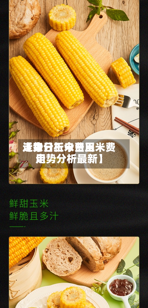近来
【今日玉米费用
走势分析今日玉米费用
走势分析最新】-第2张图片