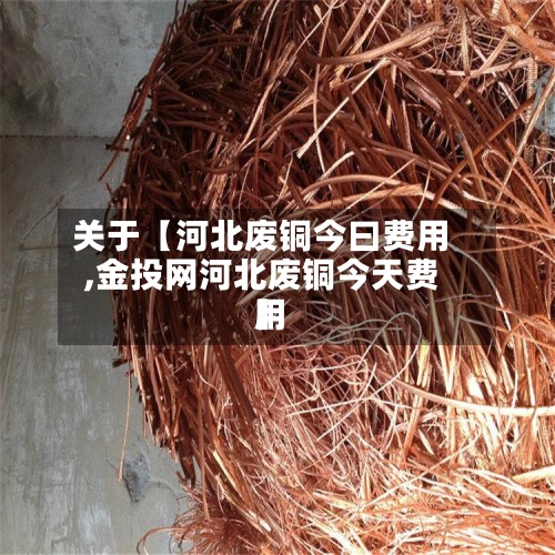 关于【河北废铜今曰费用
,金投网河北废铜今天费用
】