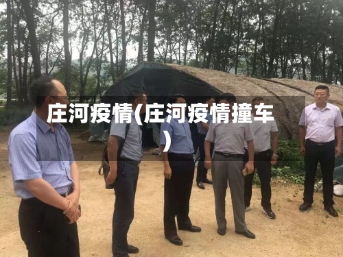 庄河疫情(庄河疫情撞车)-第2张图片