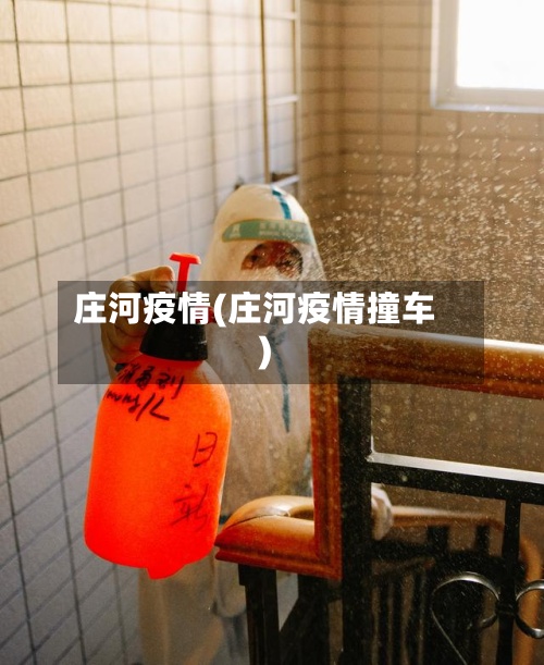 庄河疫情(庄河疫情撞车)