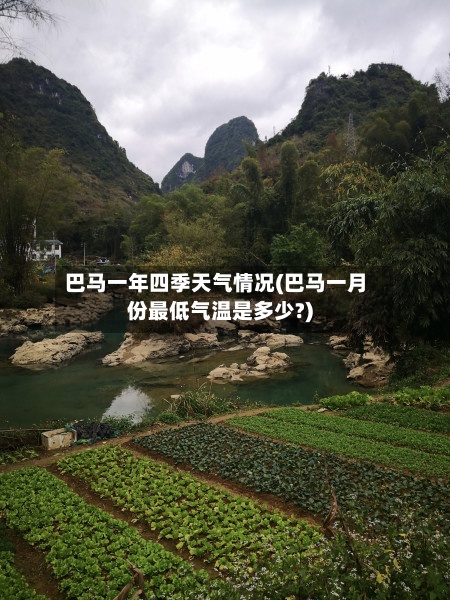 巴马一年四季天气情况(巴马一月份最低气温是多少?)