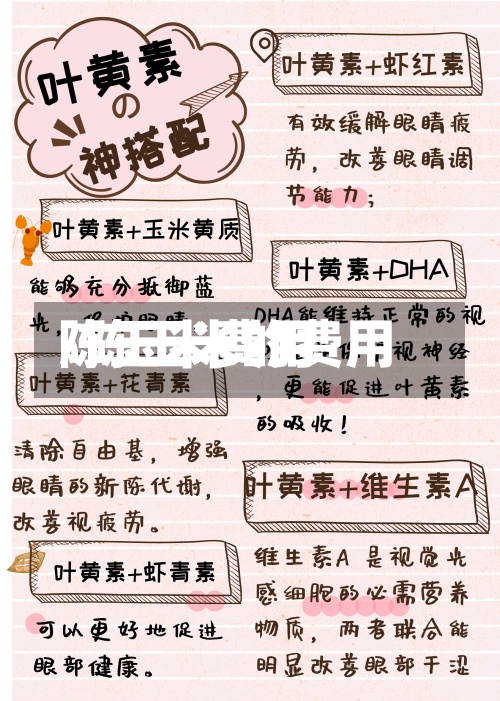 陈玉米费用
/陈玉米的费用