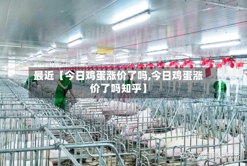 最近【今日鸡蛋涨价了吗,今日鸡蛋涨价了吗知乎】-第2张图片